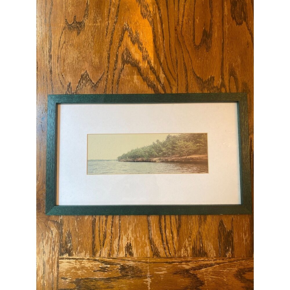 Vintage Framed Castle Rock Lake Wisconsin Photograph Glass Pane Green Wood Frame